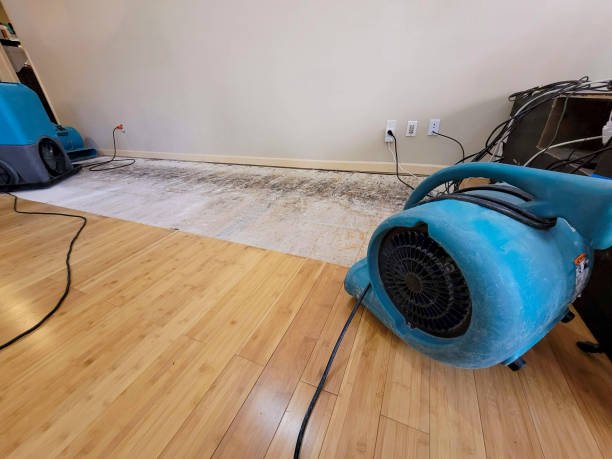 Professional Structural Drying technician working in McDavid, FL